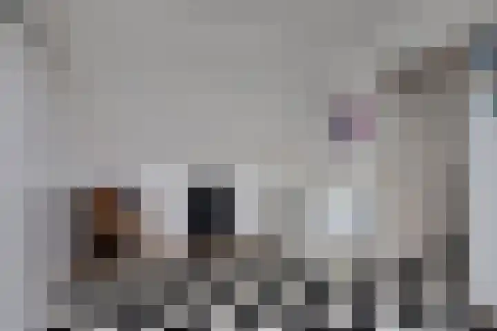 Hopveld 10 Moergestel thumbnail 30