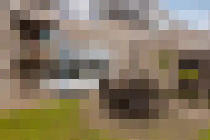 Hopveld 10 Moergestel thumbnail 32
