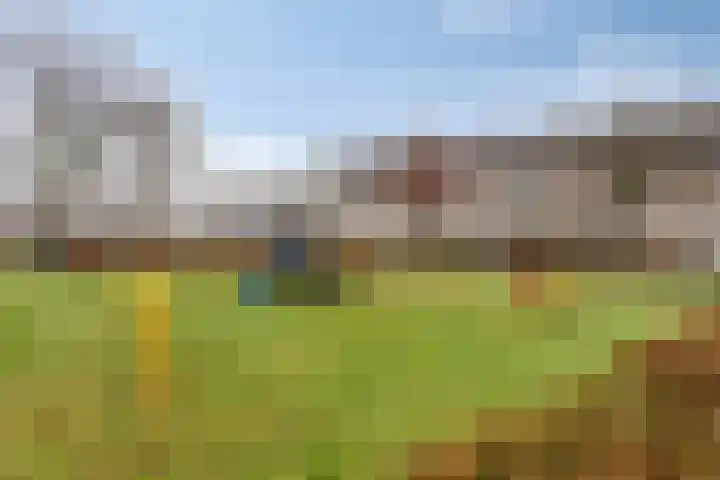 Hopveld 10 Moergestel thumbnail 42