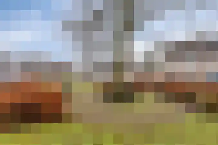 Hopveld 10 Moergestel thumbnail 43