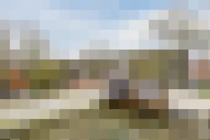 Hopveld 2 Gemert thumbnail 21