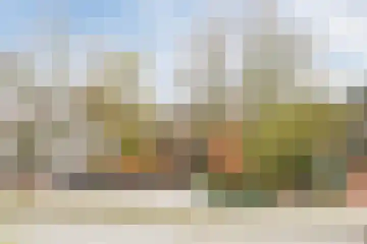 Hopveld 2 Gemert thumbnail 22