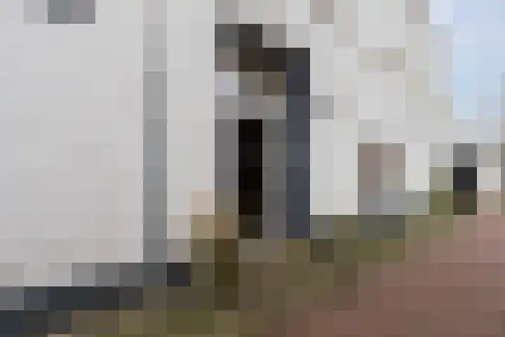 Hopveld 2 Gemert thumbnail 6