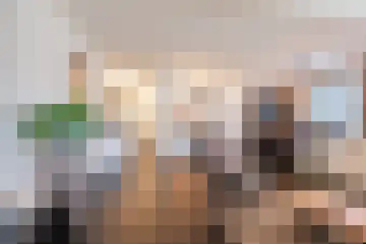 Hopveld 32 Veghel thumbnail 14