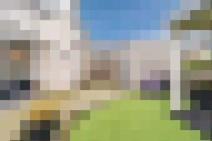 Hopveld 32 Veghel thumbnail 34
