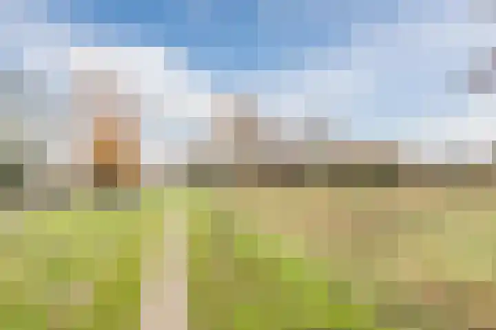 Hopveld 32 Veghel thumbnail 39