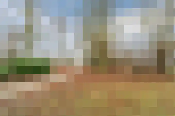 Hopveld 32 Veghel thumbnail 40