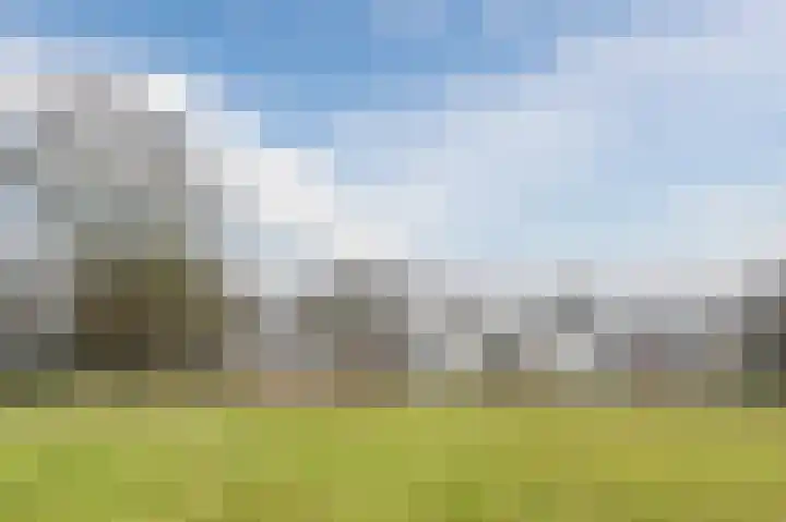 Hopveld 32 Veghel thumbnail 41