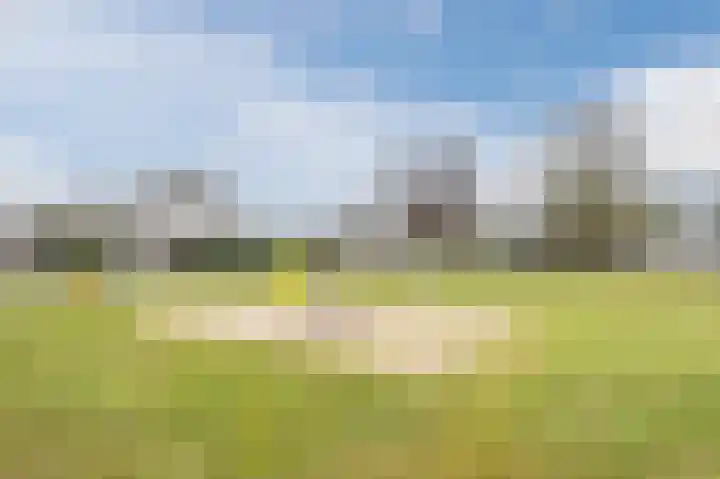 Hopveld 32 Veghel thumbnail 42