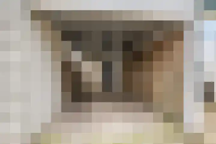 Hopveld 32 Veghel thumbnail 8