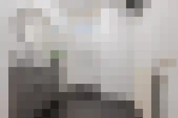 Hopveld 32 Veghel thumbnail 9