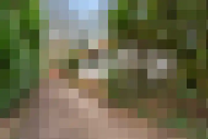 Horalaan 111 Bennekom thumbnail 11