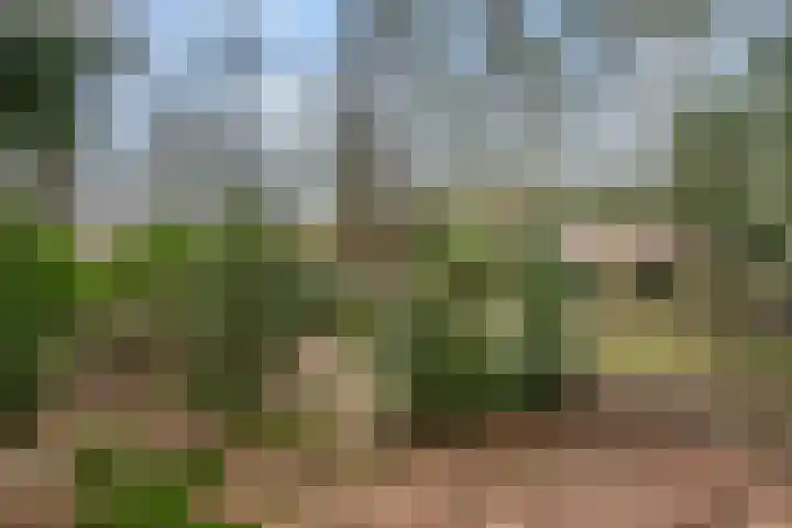 Horalaan 111 Bennekom thumbnail 14