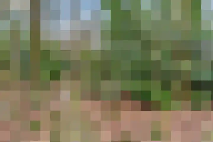 Horalaan 111 Bennekom thumbnail 16