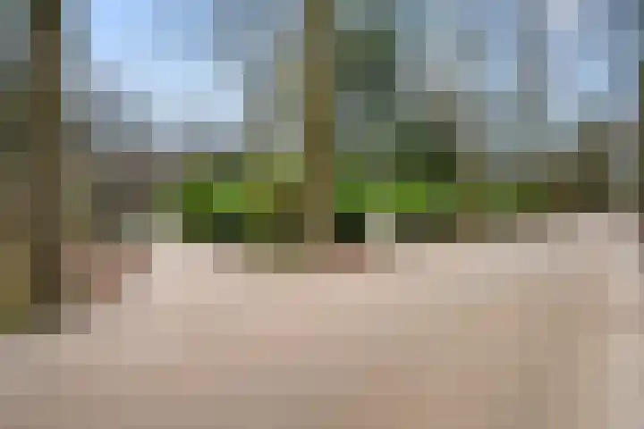 Horalaan 111 Bennekom thumbnail 19