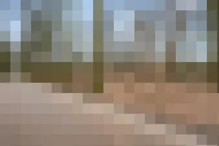 Horalaan 111 Bennekom thumbnail 20