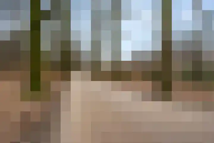 Horalaan 111 Bennekom thumbnail 21