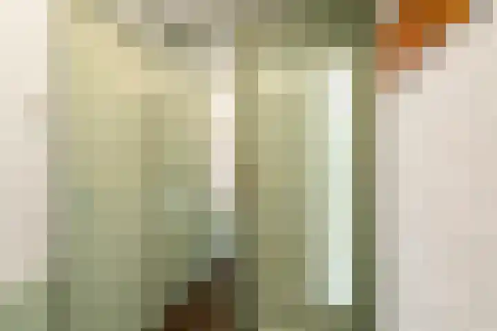 Horalaan 111 Bennekom thumbnail 23
