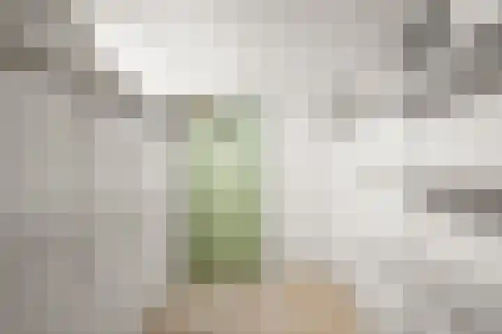 Horalaan 111 Bennekom thumbnail 44