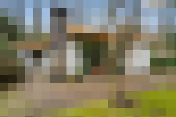 Horalaan 111 Bennekom thumbnail 6