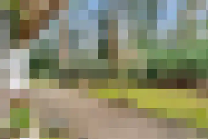 Horalaan 111 Bennekom thumbnail 8