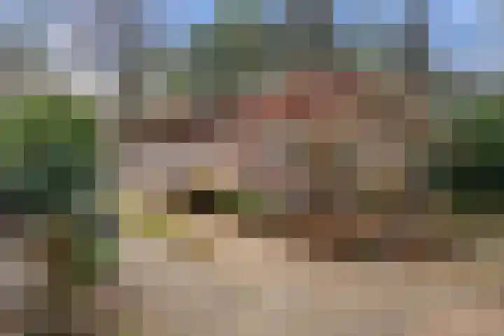 Horalaan 58 Bennekom thumbnail 5