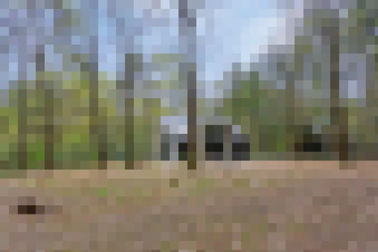 Horalaan 74 Bennekom thumbnail 31