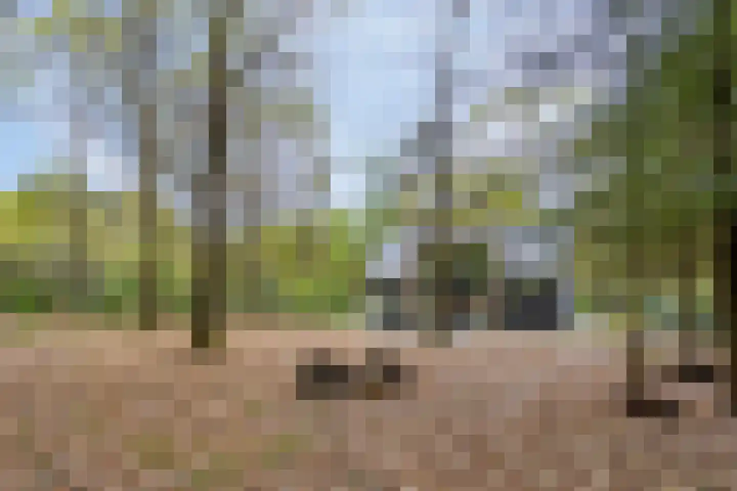 Horalaan 74 Bennekom thumbnail 32