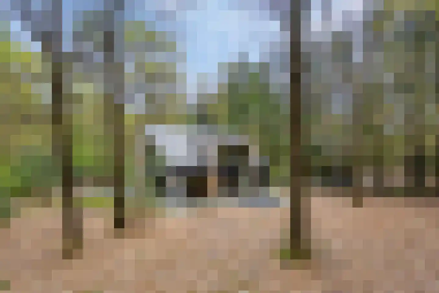 Horalaan 74 Bennekom thumbnail 36