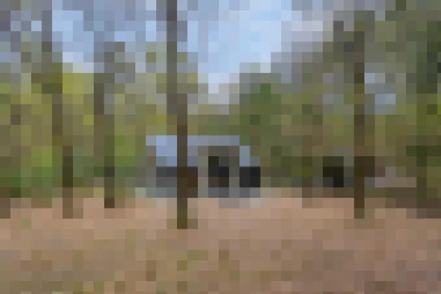 Horalaan 74 Bennekom thumbnail 37