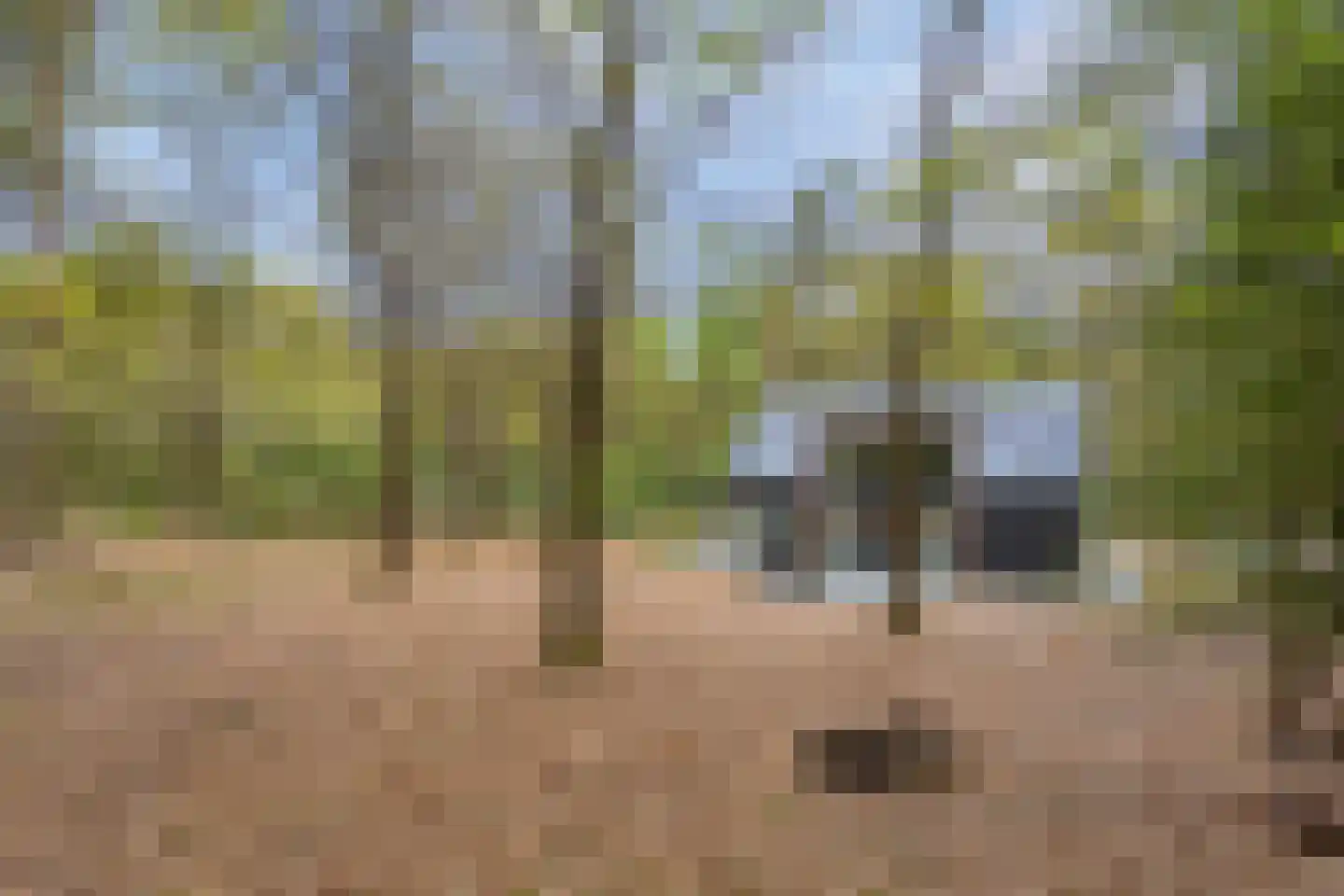 Horalaan 74 Bennekom thumbnail 4