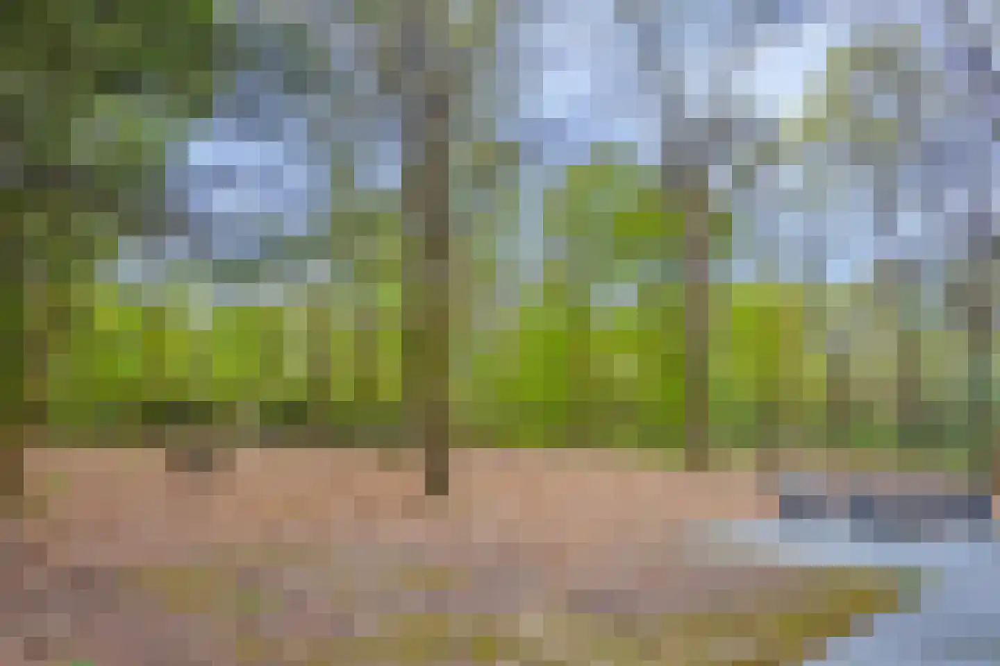Horalaan 74 Bennekom thumbnail 41