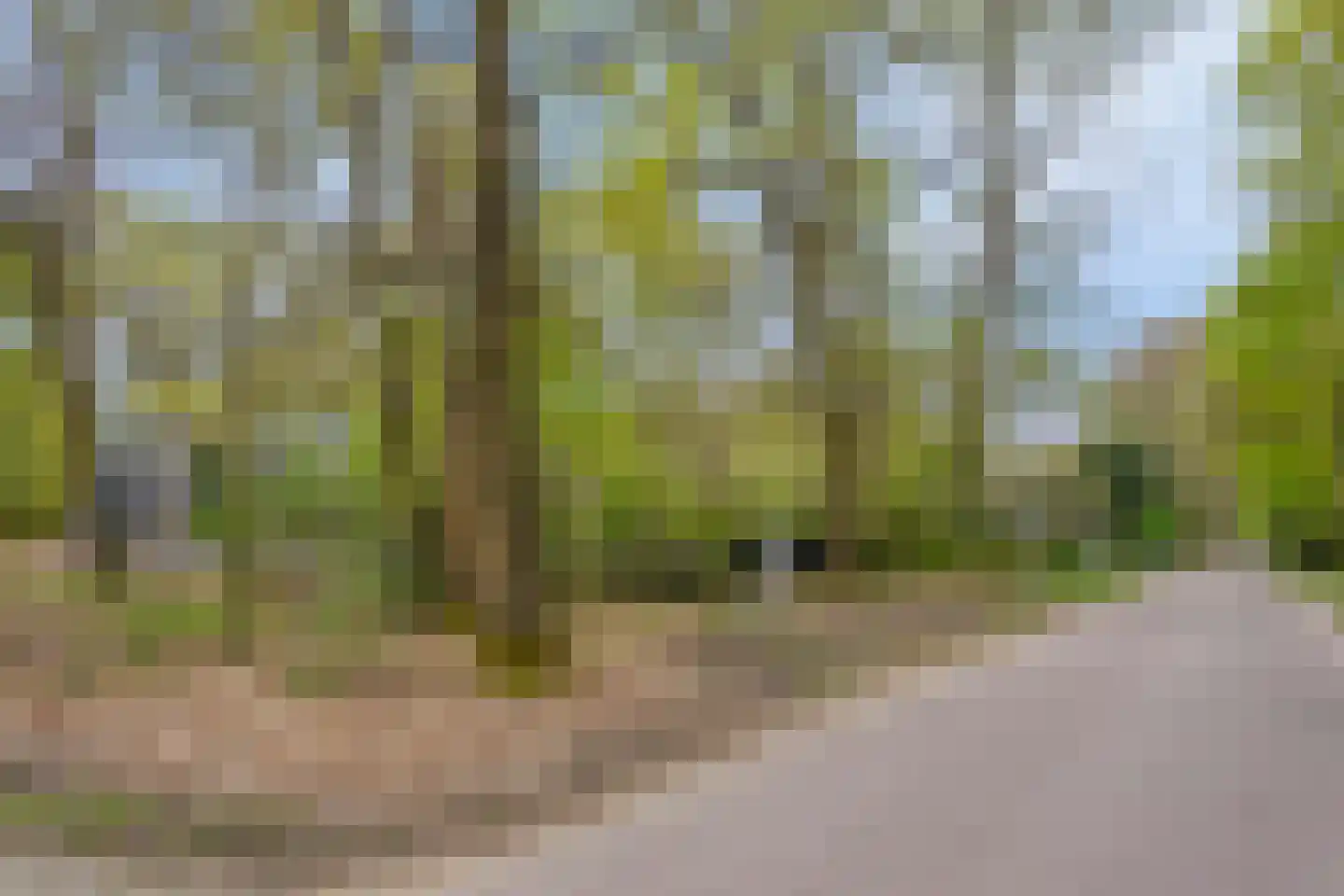 Horalaan 74 Bennekom thumbnail 43