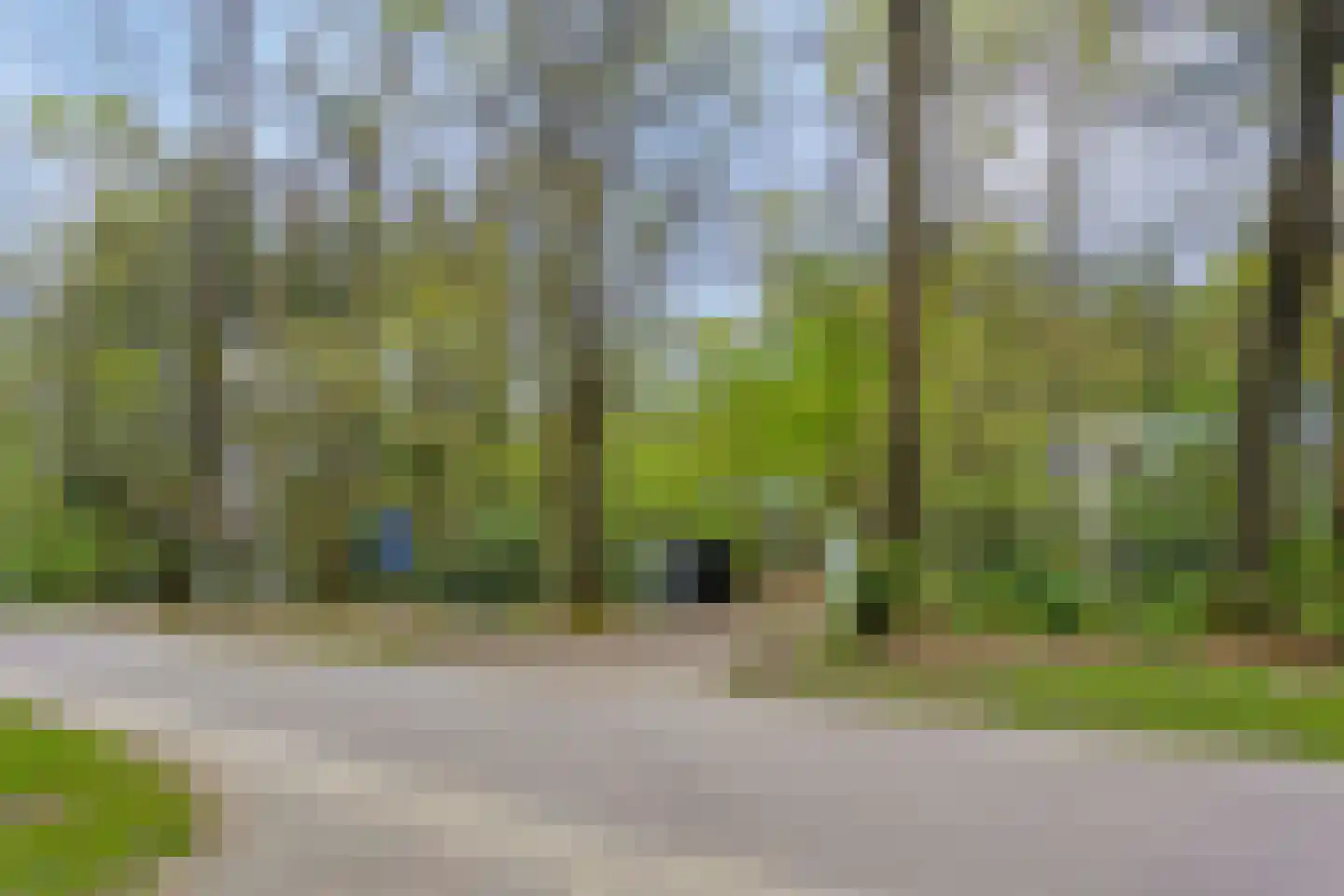 Horalaan 74 Bennekom thumbnail 44