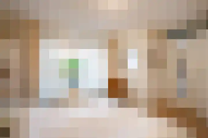 Horatiuslaan 3 Sittard thumbnail 22