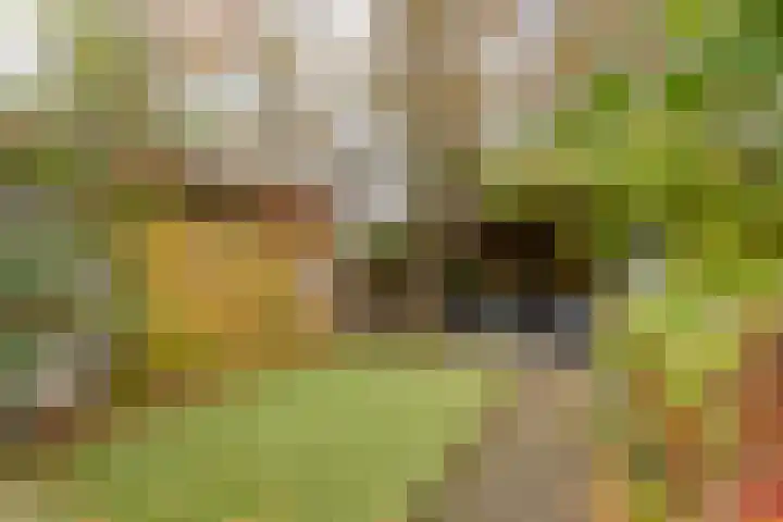Hordijk 202 Rotterdam thumbnail 33