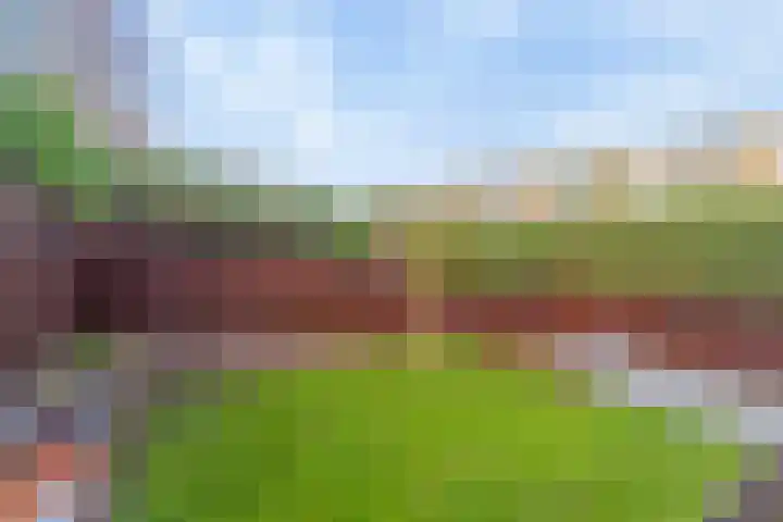 Hordijk 25 Rotterdam thumbnail 29