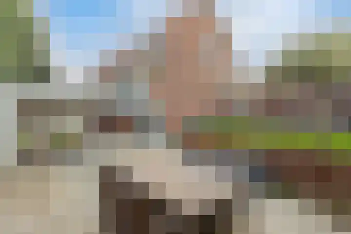 Hordijk 25 Rotterdam thumbnail 30