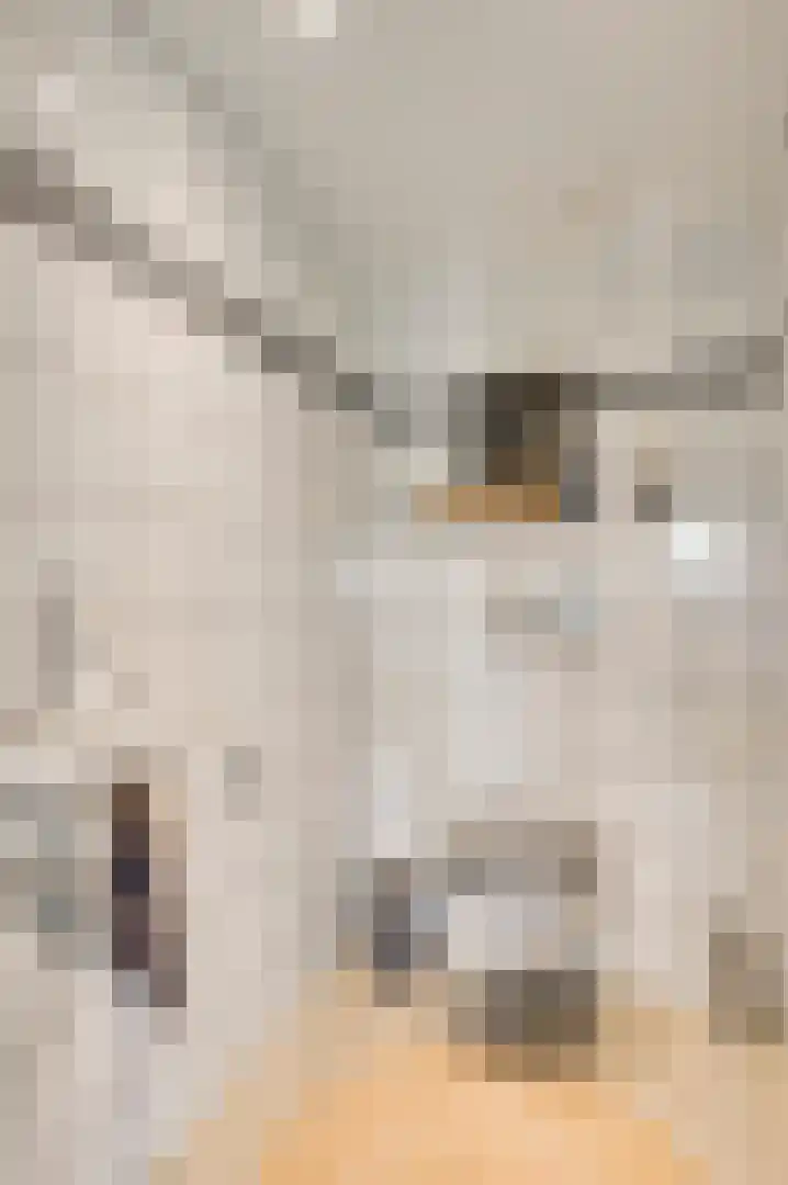 Horick 4 Ospel thumbnail 13