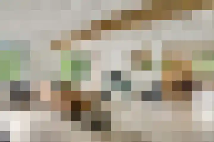 Horick 4 Ospel thumbnail 20