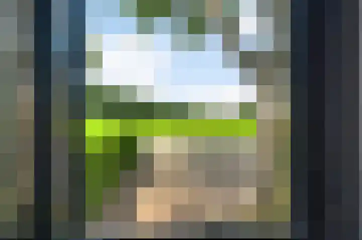 Horick 4 Ospel thumbnail 21