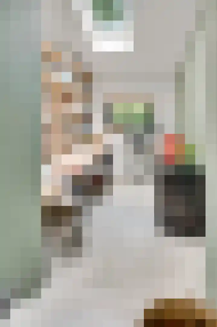 Horick 4 Ospel thumbnail 24