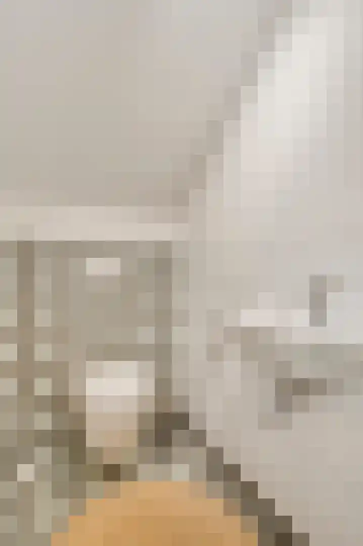 Horick 4 Ospel thumbnail 30