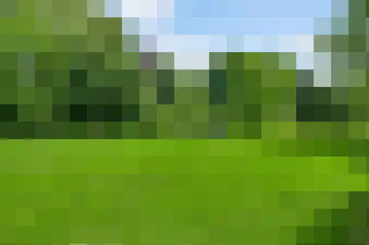 Horick 4 Ospel thumbnail 40