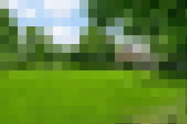 Horick 4 Ospel thumbnail 41