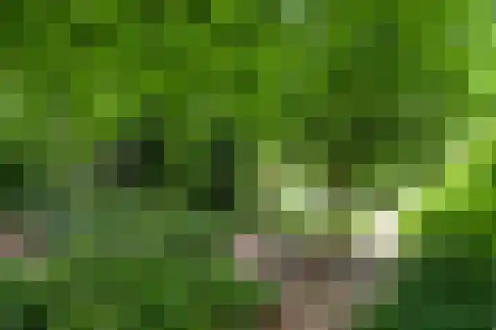 Horick 4 Ospel thumbnail 42