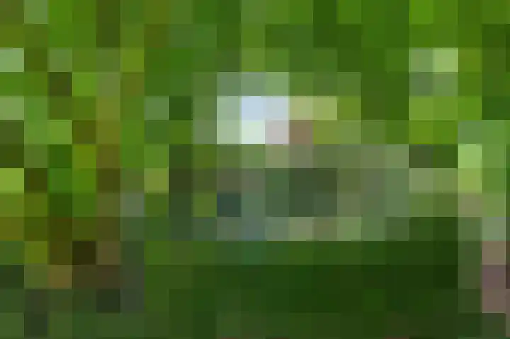 Horick 4 Ospel thumbnail 43