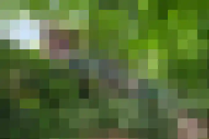 Horick 4 Ospel thumbnail 44