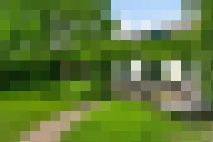 Horick 4 Ospel thumbnail 45