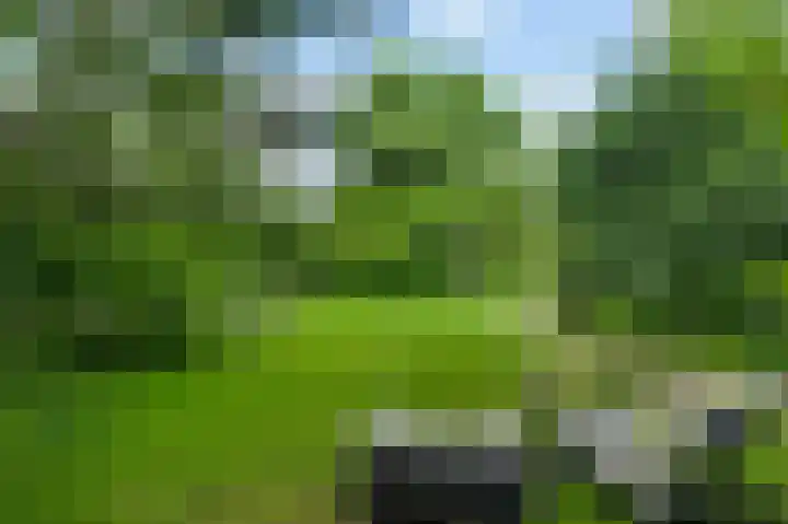 Horick 4 Ospel thumbnail 46